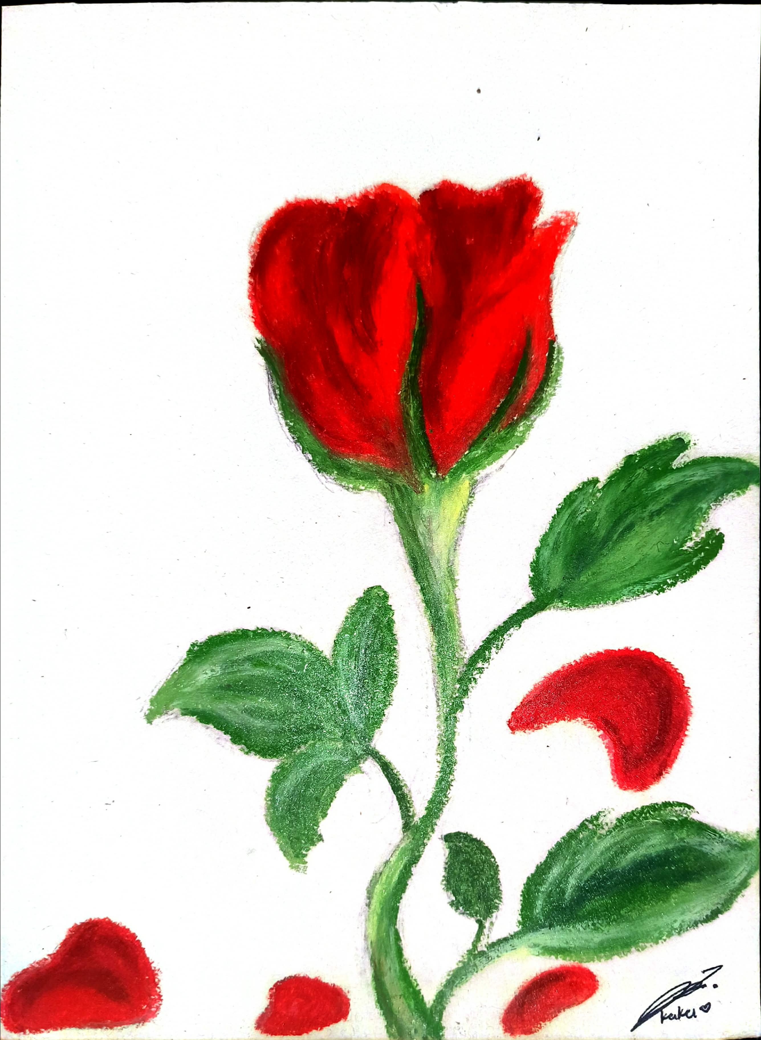 pheonna's rose art
